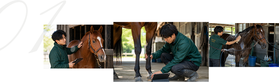 馬の個性に合わせた調整